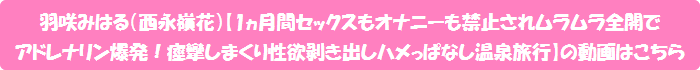 羽咲みはる(西永嶺花)【1ヵ月間セックスもオナニーも禁止されムラムラ全開でアドレナリン爆発!痙攣しまくり性欲剥き出しハメっぱなし温泉旅行】の動画はこちら