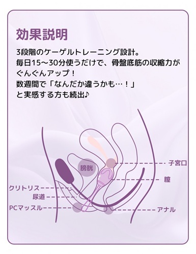 ToyCod コア美で膣トレ実践レビュー セフレと試して感じた骨盤底筋ケアの実力